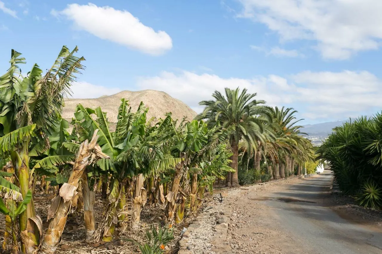Casa Maria - Caserio De Guaza Palm-mar Spain